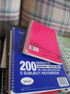 Plain old notebooks worked as I began to write